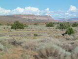 2012_07_23_007.JPG