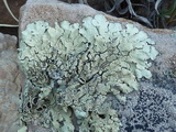 2012_07_25_019.JPG