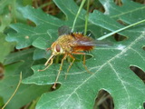 2012_07_25_024.JPG