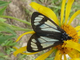 2012_07_26_014.JPG