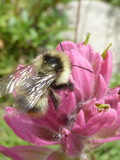2012_07_26_022.JPG