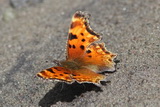 2012_07_26_029.JPG