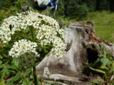 2012_07_26_102.JPG