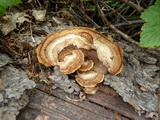 2012_07_26_109.JPG