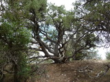 2012_07_27_018.JPG
