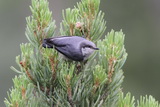 2012_07_27_039.JPG