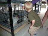 2012_07_27_094.JPG