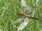 2012_07_28_015.JPG