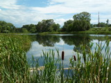 2012_07_28_019.JPG