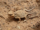 2012_07_29_030.JPG