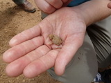 2012_07_29_031.JPG