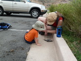 2012_07_31_076.JPG