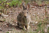 2012_08_01_007.JPG