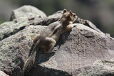 2012_08_01_024.JPG