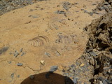 2012_08_03_007.JPG