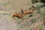2012_08_03_029.JPG