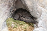 2012_08_03_057.JPG