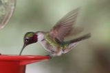 2012_08_03_059.JPG