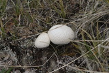 2012_08_05_027.JPG
