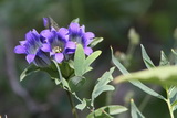 2012_08_07_018.JPG