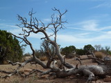 2012_08_10_051.JPG