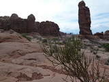 2012_08_10_061.JPG