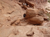 2012_08_10_099.JPG