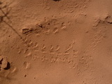 2012_08_10_117.JPG