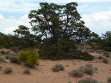 2012_08_10_199.JPG