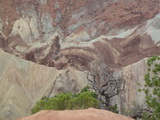 2012_08_10_273.JPG